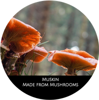 Mushrooms Kopie
